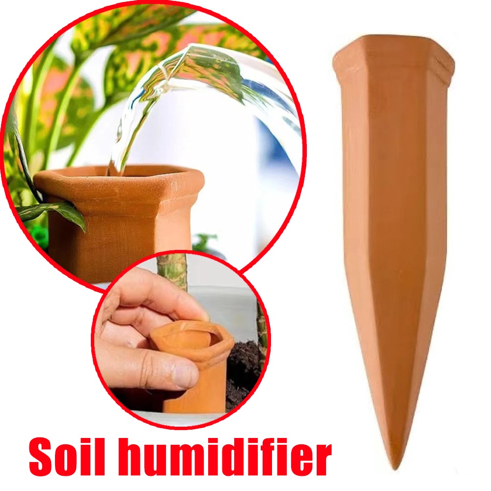 Pothos - Terracotta Automatic Watering Device Plant Watering
