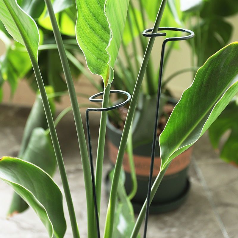 1/10pcs Garden Support Stake R - Plant Support Stake ulasan dan harga