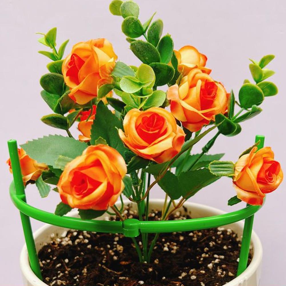 Tomato Cages Trellis Plastic C - Terracotta Pot ulasan dan harga