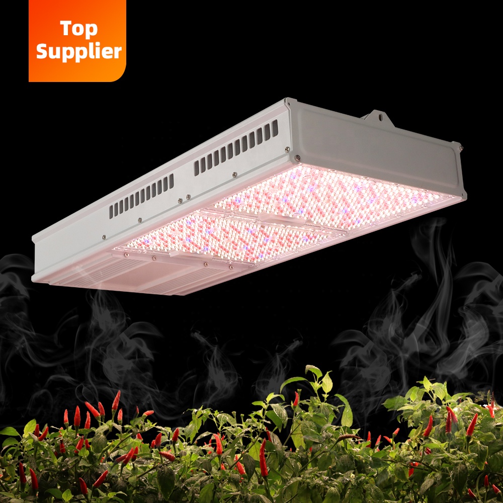 Cost-Effective 600W 800W Topli - Indoor Plants ulasan dan harga