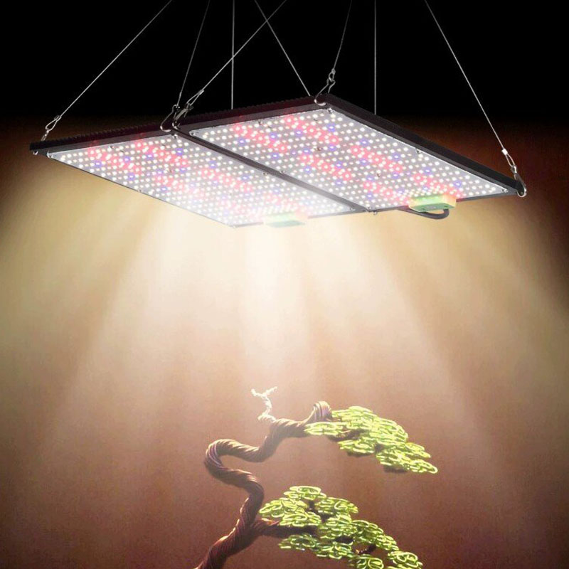 LED Quantum‑Board Grow Light F - Indoor Plants ulasan dan harga