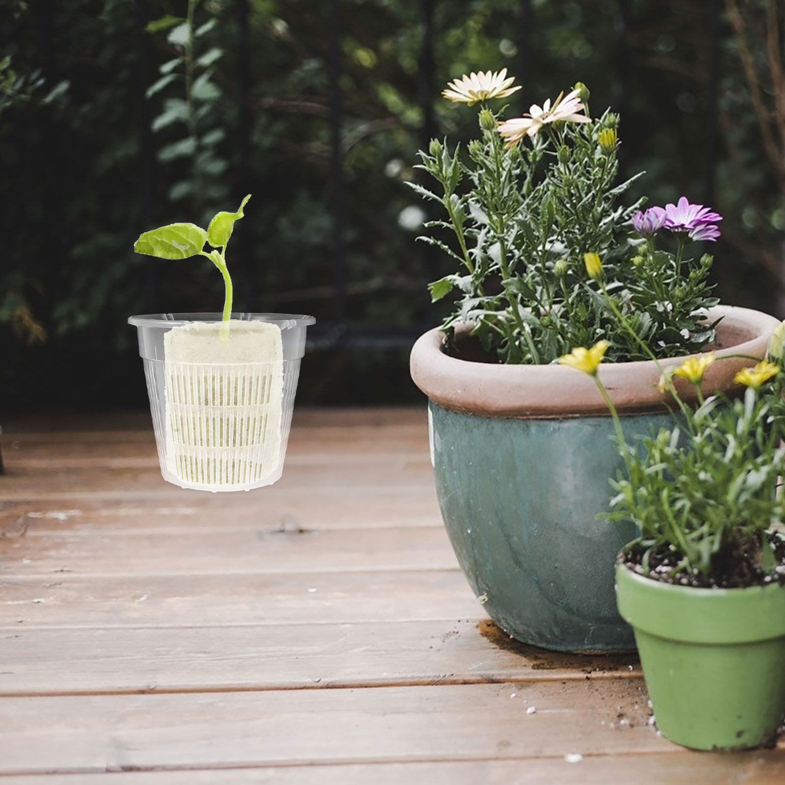 4Pcs Hydroponic Plant Basket R - Plant Pot ulasan dan harga