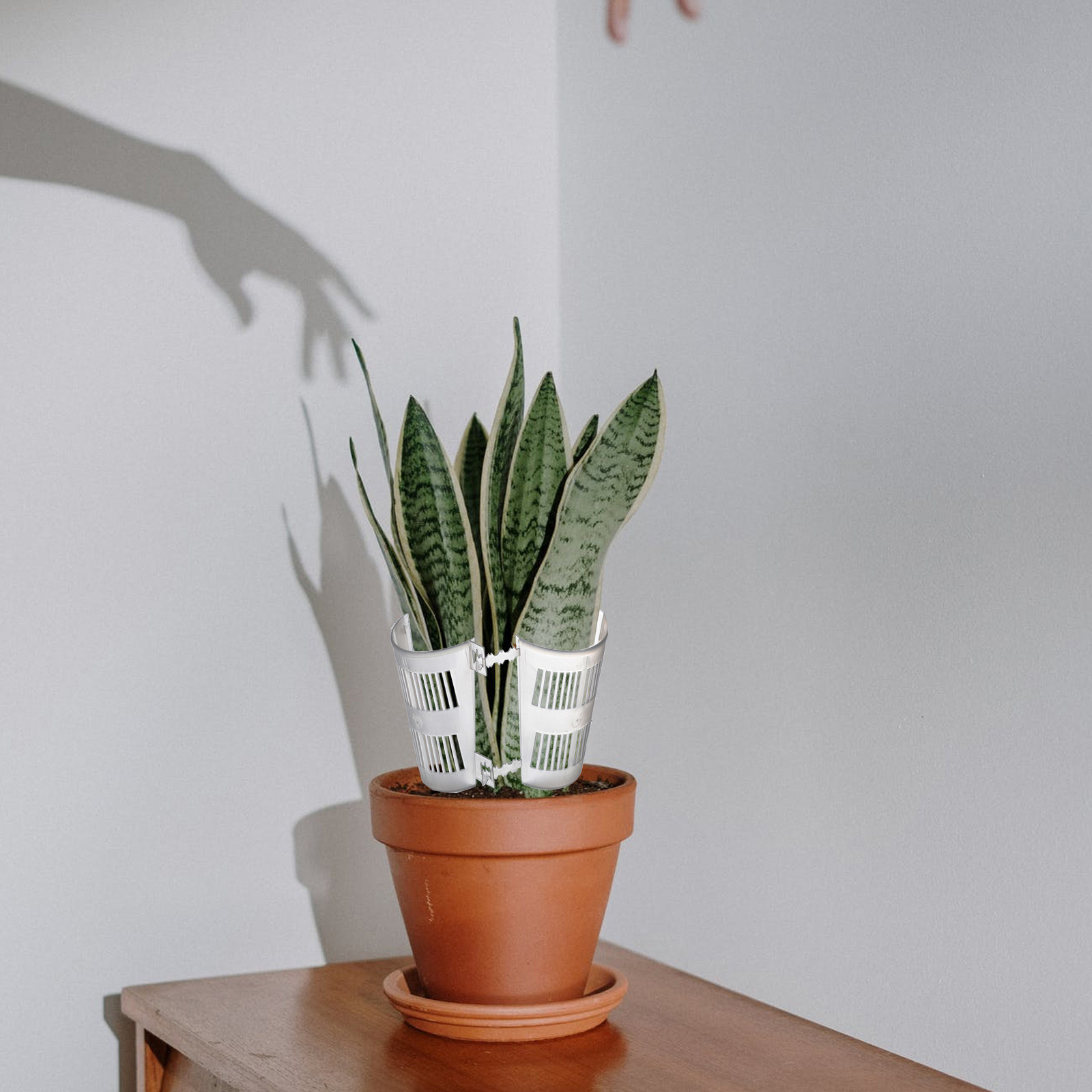 10Pcs Root Control Plant Pots  - Plant Pot ulasan dan harga