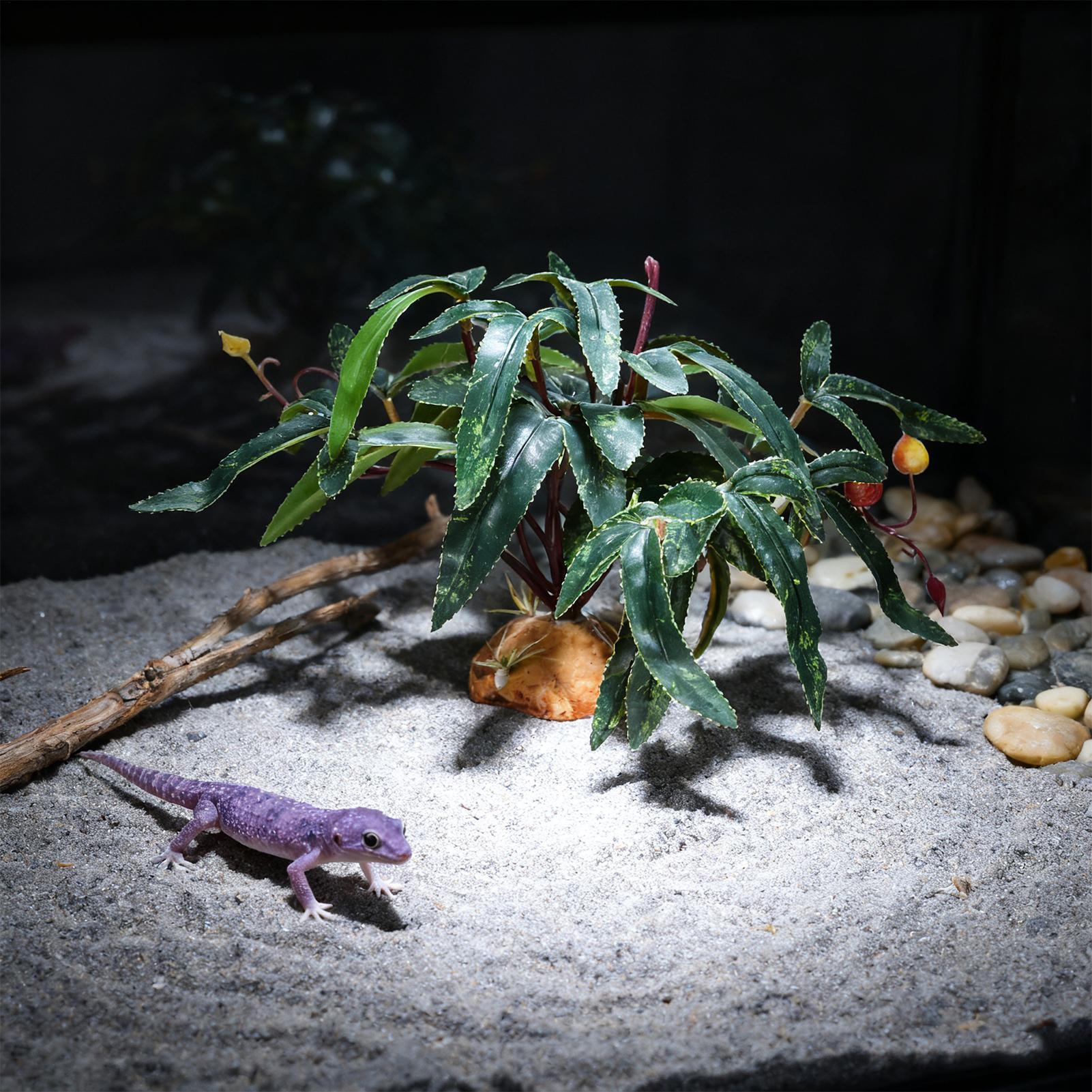 Fake Reptile Plants Snake Tank - Snake Plant ulasan dan harga