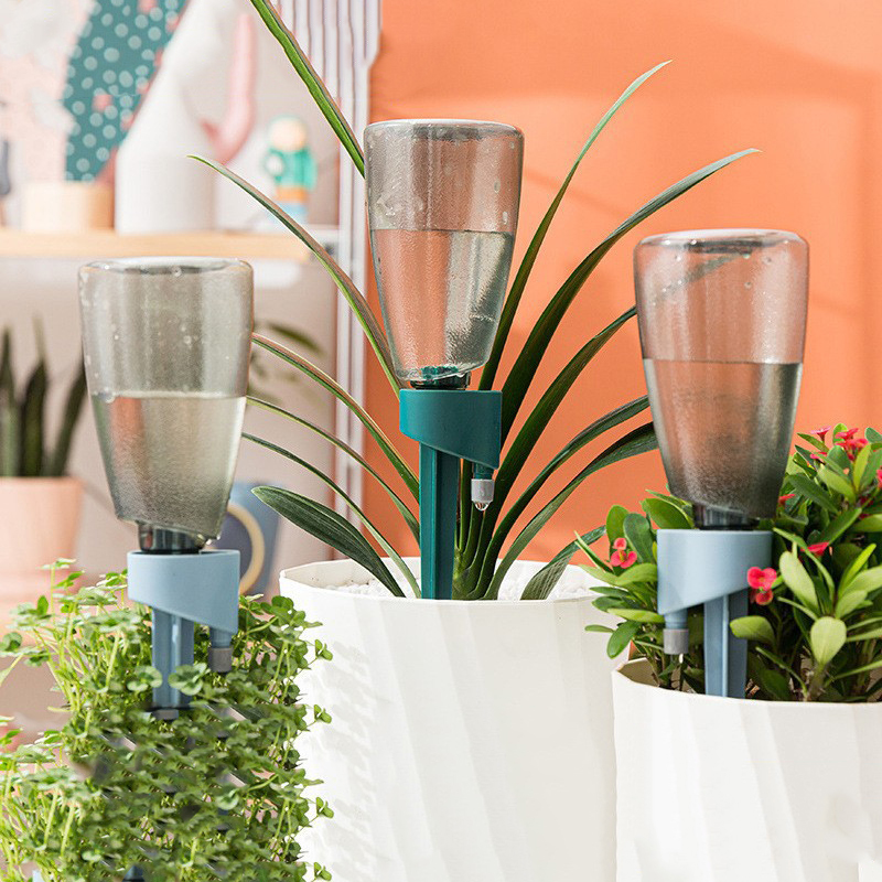 New Automatic Flower Watering  - Succulent Set ulasan dan harga