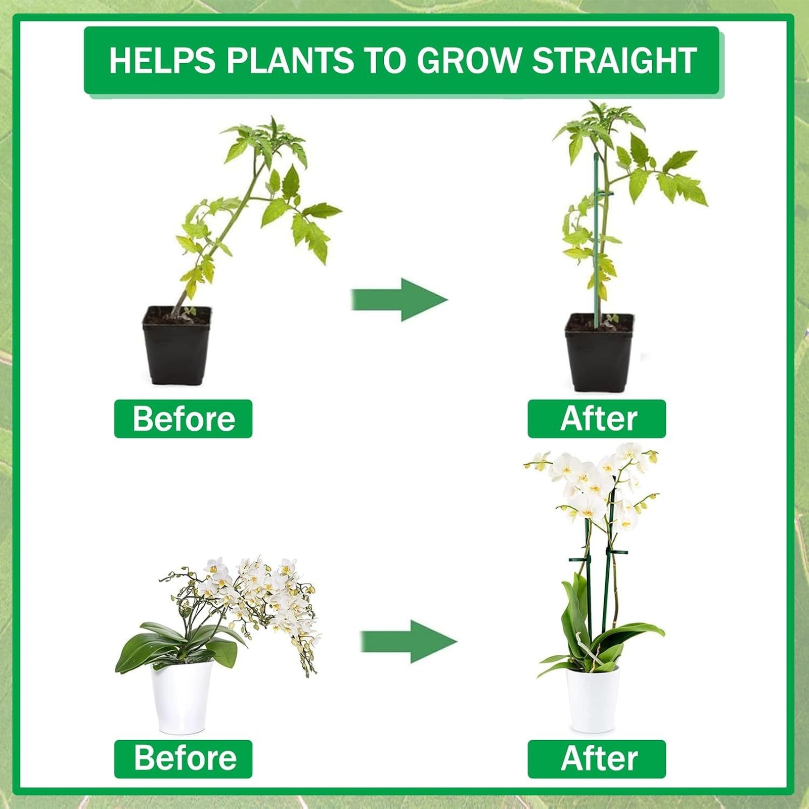 Plant Supports Rod Single Stem - Terracotta Pot ulasan dan harga
