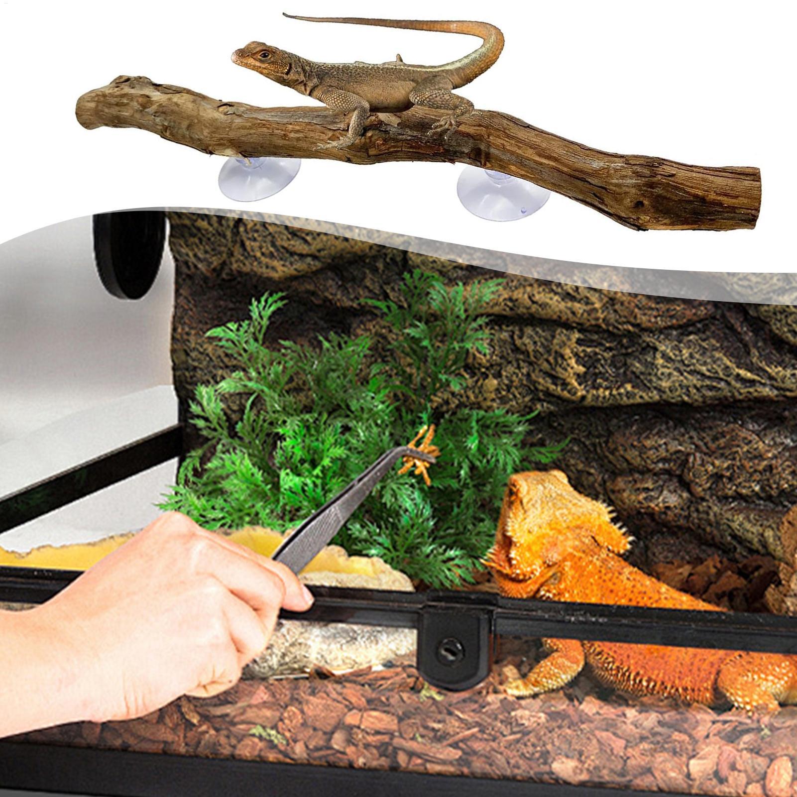 Reptile Climbing Corner Stick  - Snake Plant ulasan dan harga