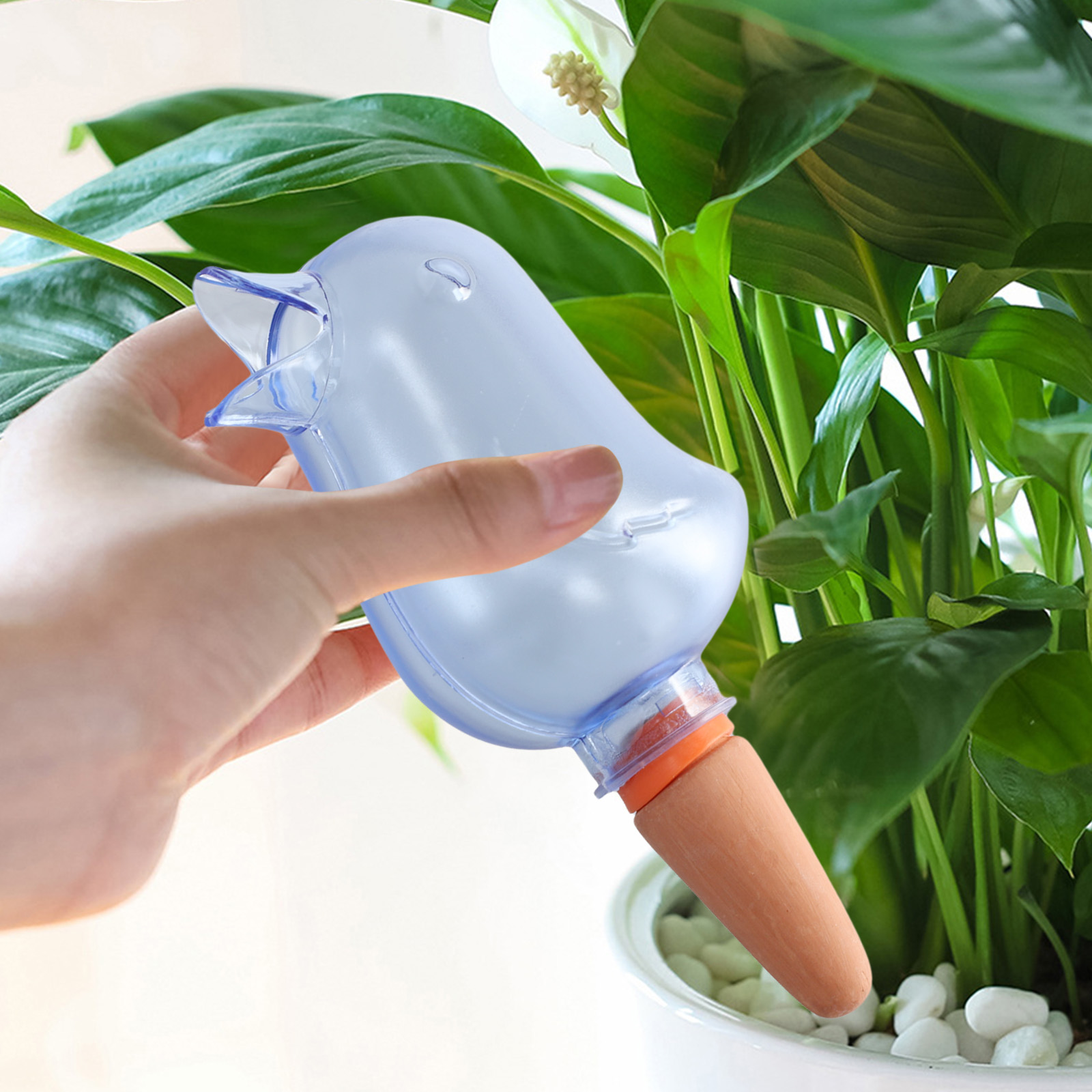 Automatic Plant Drip Irrigatio - Pothos ulasan dan harga