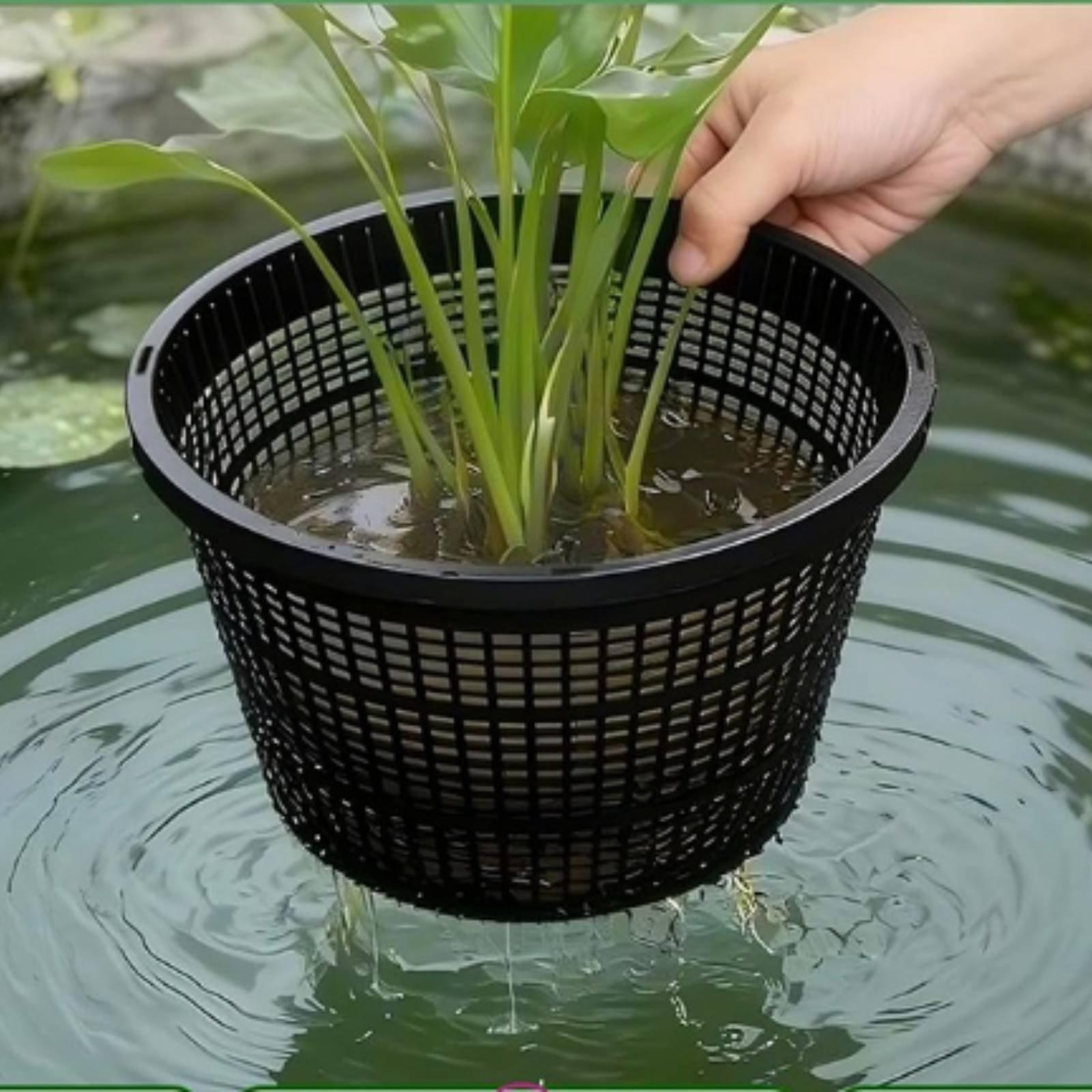 Hydroponic Planter Wide Rim Me - Plant Pot ulasan dan harga