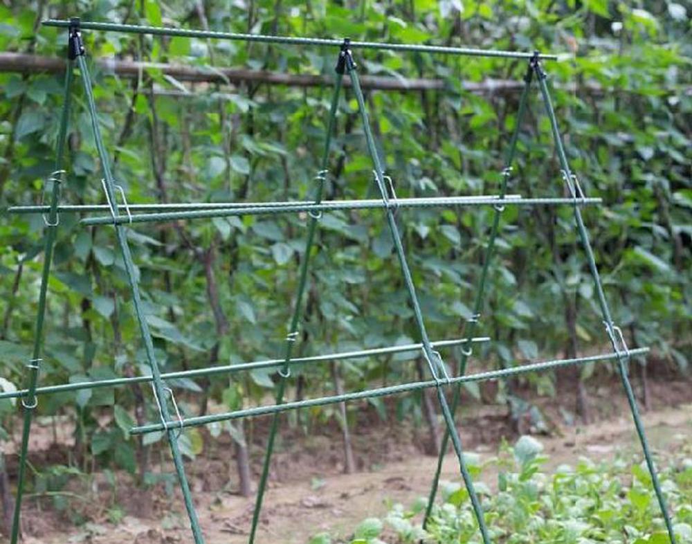Diameter 8/11/16mm Plant Suppo - Plant Support Stake ulasan dan harga