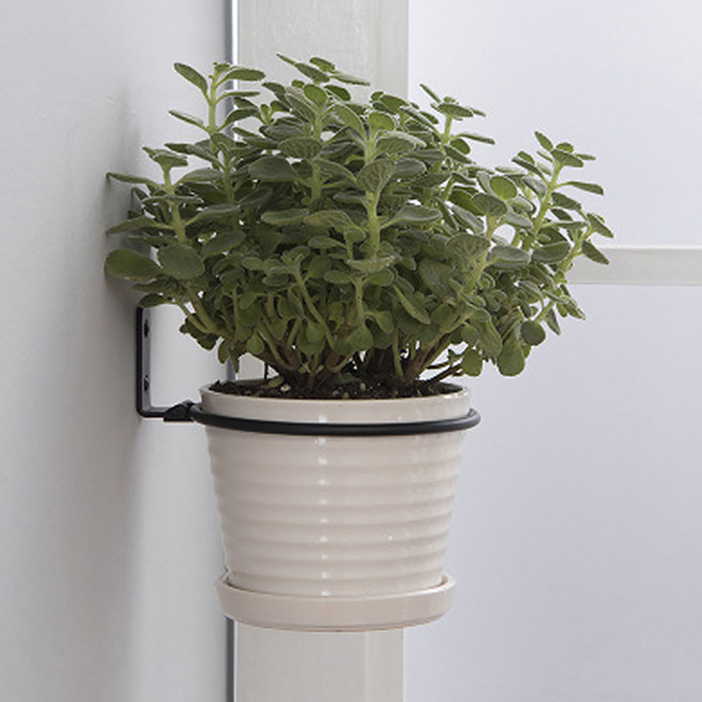 Flower Pot Trays Wall Mounted  - Terracotta Pot ulasan dan harga