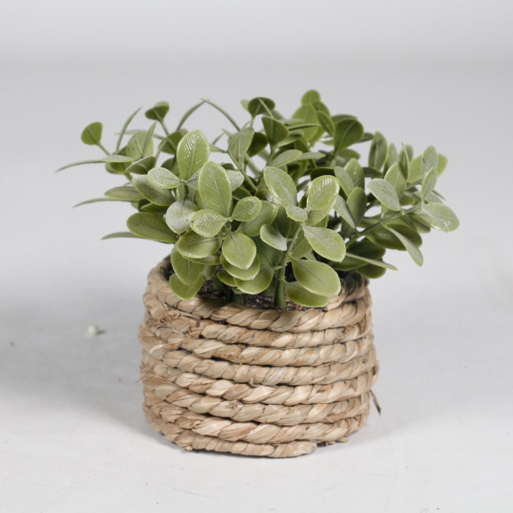 Green Artificial Potted Plant  - Succulent Set ulasan dan harga