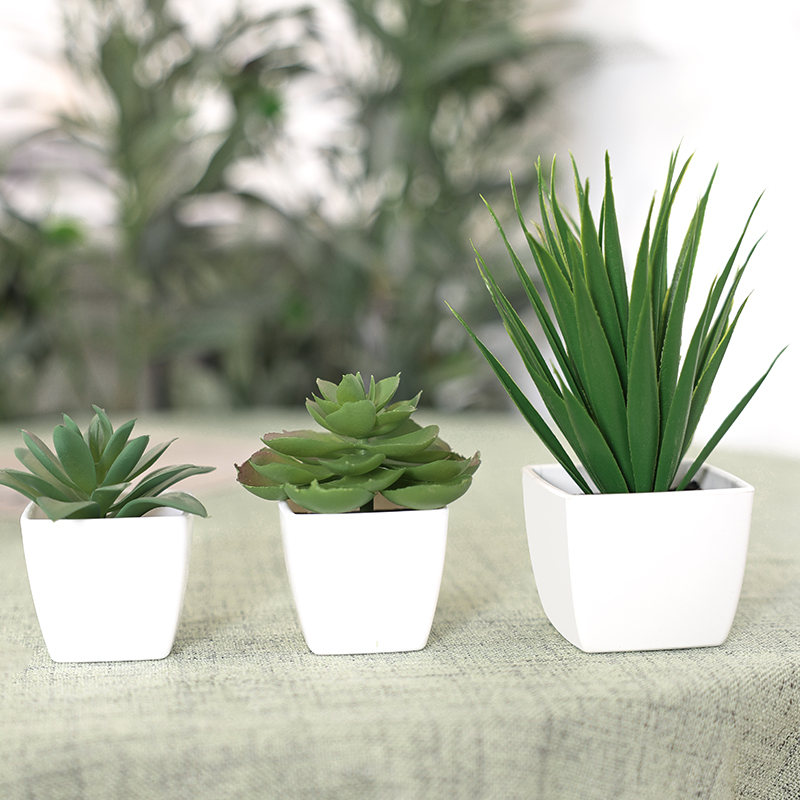 3PCS Artificial Evergreen Plan - Succulent Set ulasan dan harga