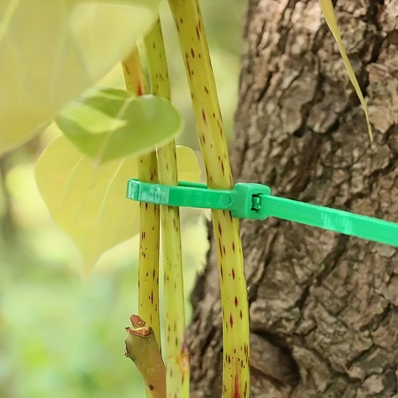 100pcs Garden Cable Tie, Plant - Plant Pot ulasan dan harga