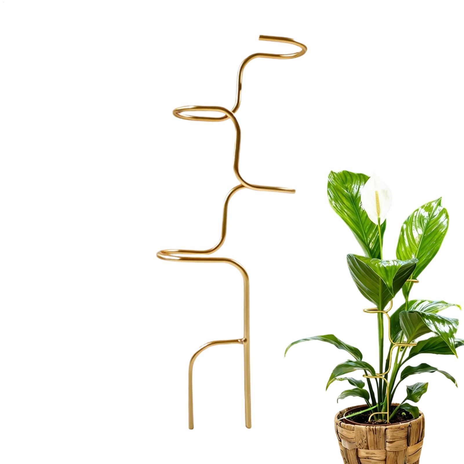 Garden Plant stem fixing suppo - Plant Support Stake ulasan dan harga