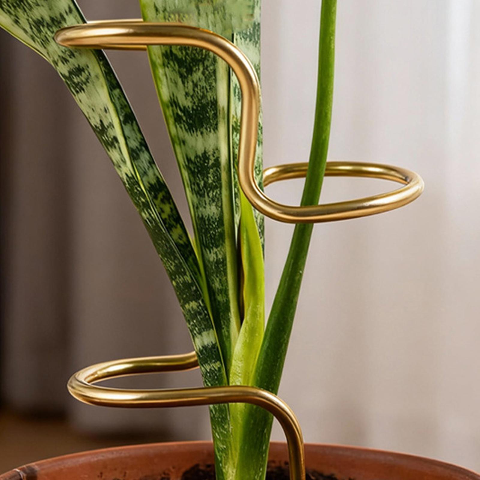 Garden Plant stem fixing suppo - Plant Support Stake ulasan dan harga