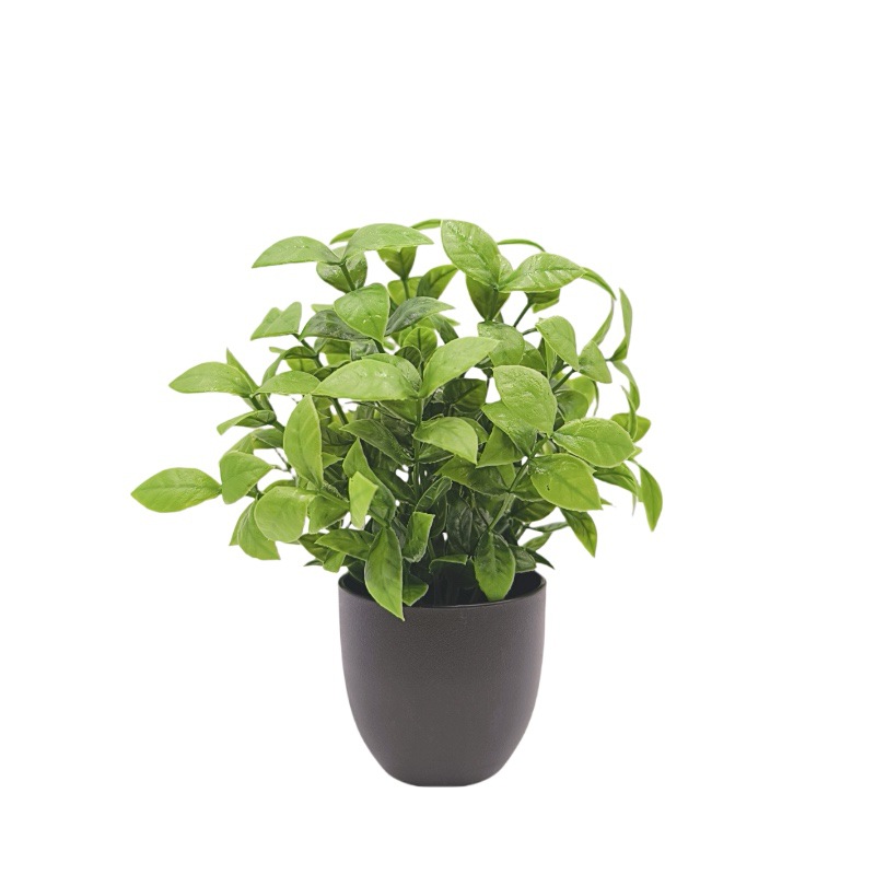 Simulation Green Plant Bonsai  - Succulent Set ulasan dan harga