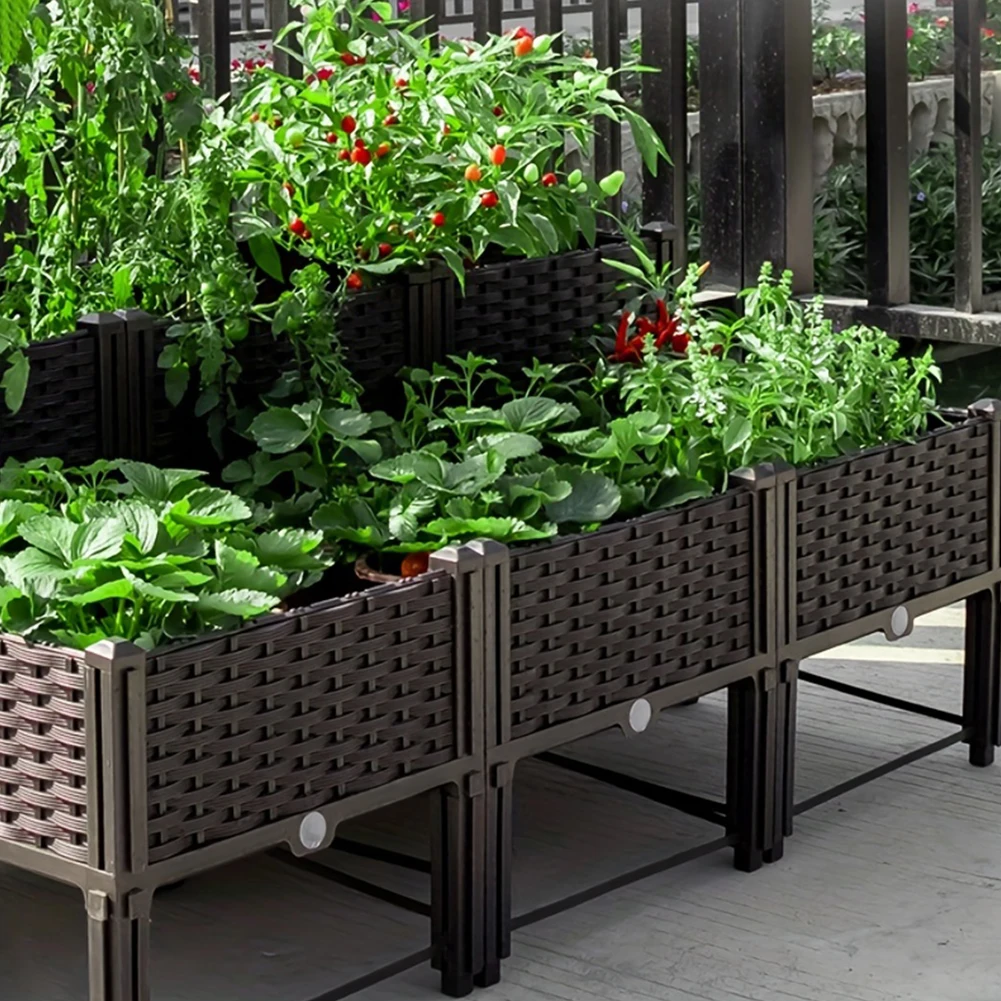 Large Capacity Garden Bed Vege - Pothos ulasan dan harga