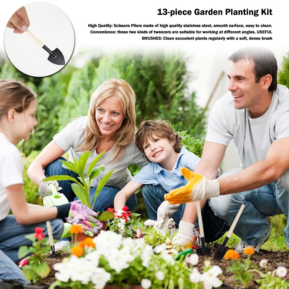 Succulent Plants Tools Mini Ga - Succulent Set ulasan dan harga