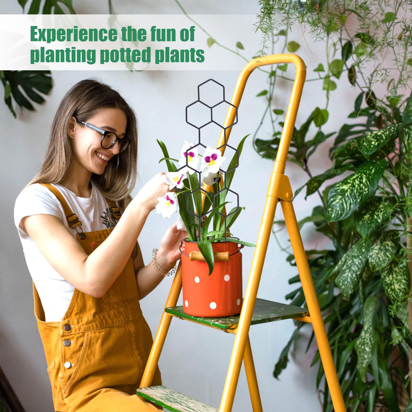 1PC Honeycomb Design Plant Tre - Pothos ulasan dan harga